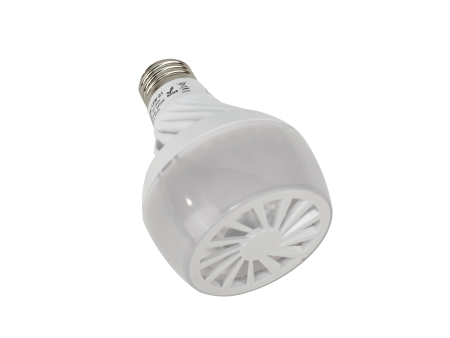 GermAwayUV Air Purification Bulb Online Sale